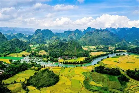 Chuyển phát nhanh cao bằng