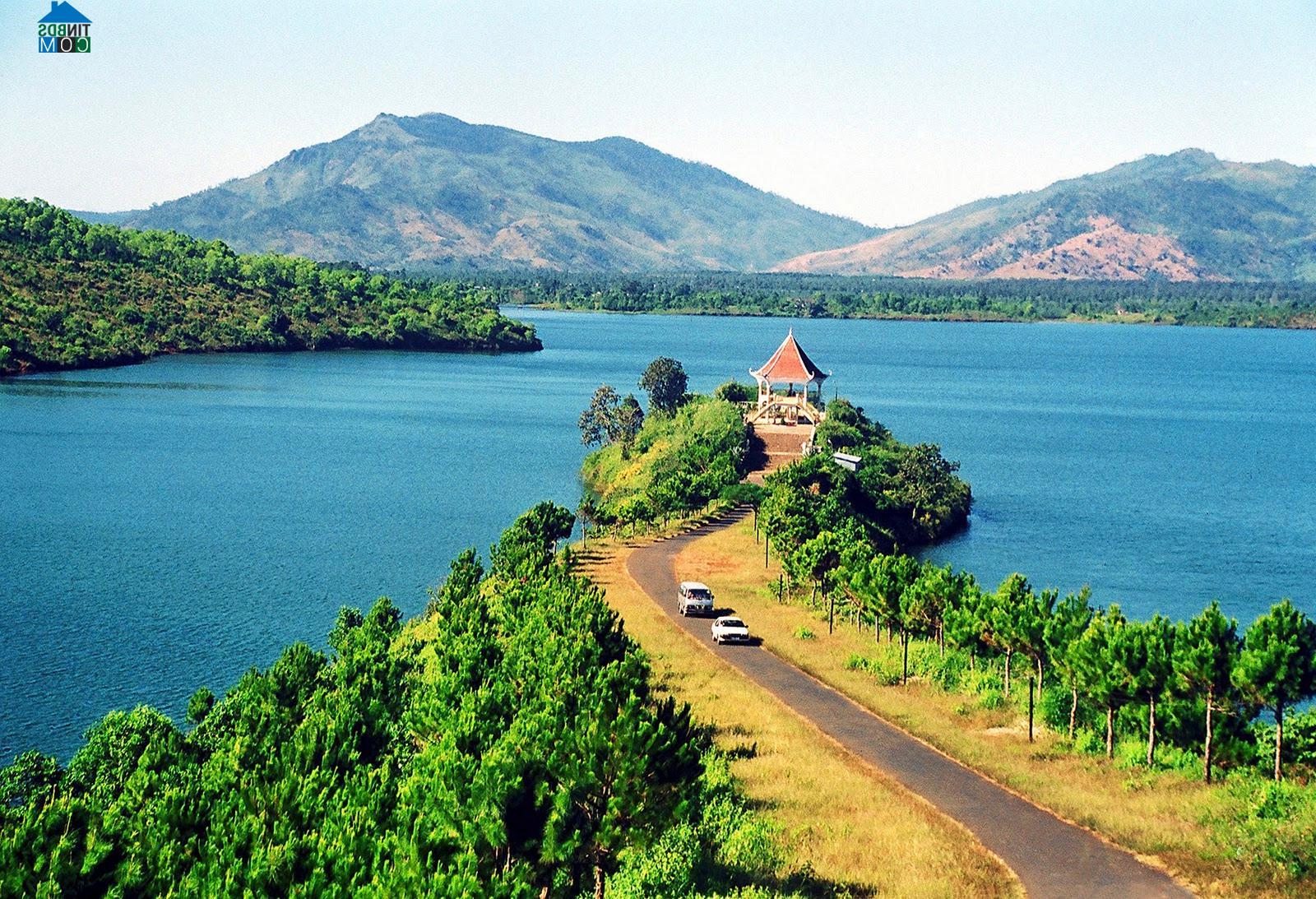 Chuyển phát nhanh gia lai