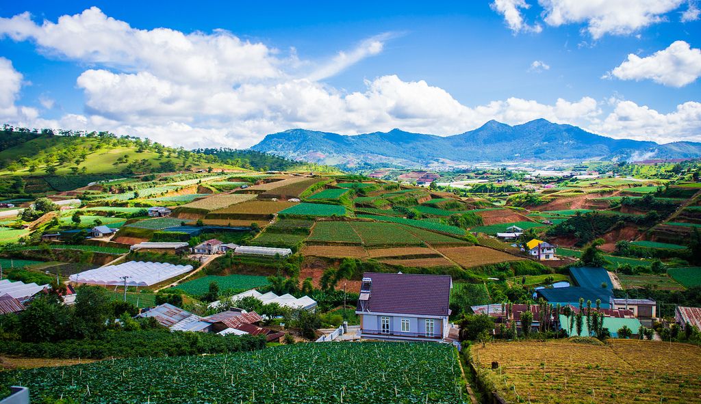 Chuyển phát nhanh lâm đồng